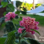 B&B Dimora Sole Del Sud