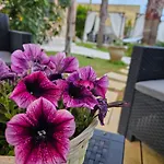 Dimora Sole Del Sud B&B 우겐토