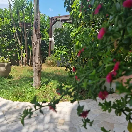 Dimora Sole Del Sud B&B