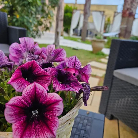 Dimora Sole Del Sud B&B 우겐토