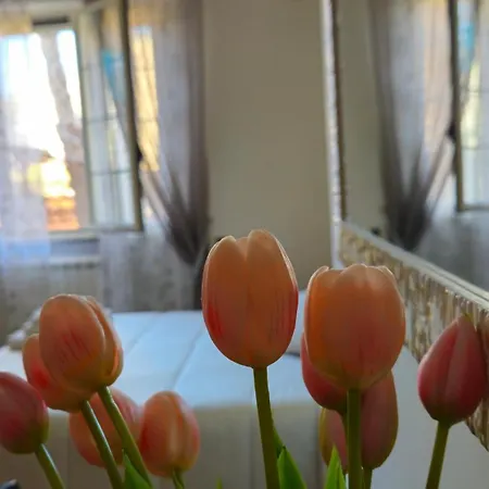 Bed & Breakfast Dimora Sole Del Sud