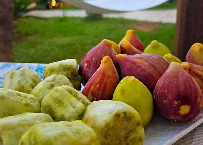 Dimora Sole Del Sud Bed & Breakfast 3*