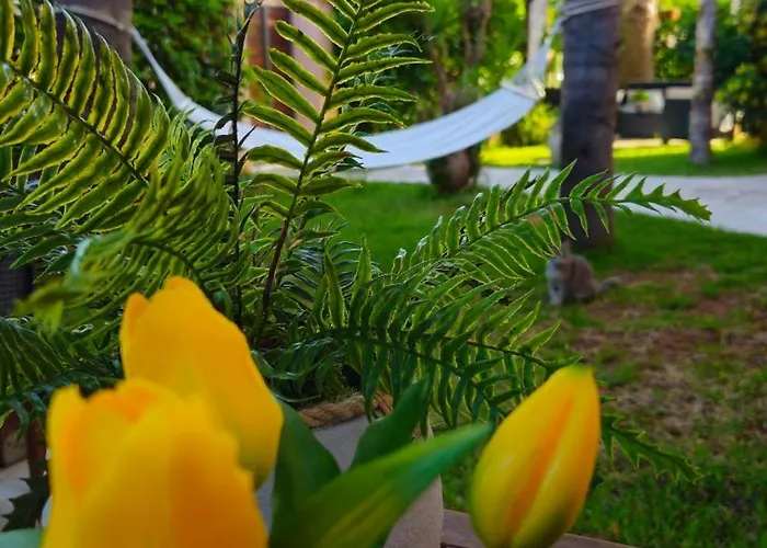 Dimora Sole Del Sud Bed & Breakfast