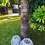 Dimora Sole Del Sud 3*