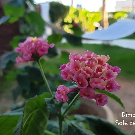 Alojamento de Acomodação e Pequeno-almoço Dimora Sole Del Sud
