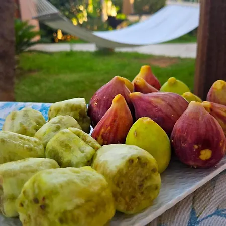 Dimora Sole Del Sud Oda ve Kahvaltı 3*