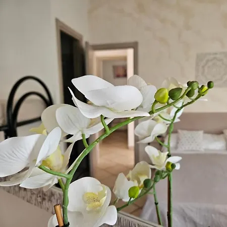 Dimora Sole Del Sud 3* Ugento