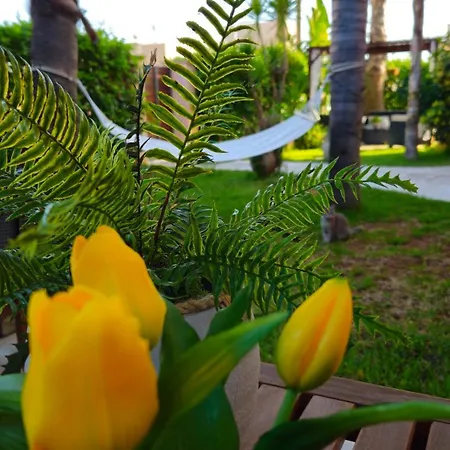 Dimora Sole Del Sud Bed & Breakfast