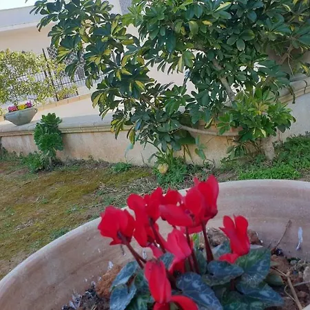 Bed & Breakfast Dimora Sole Del Sud