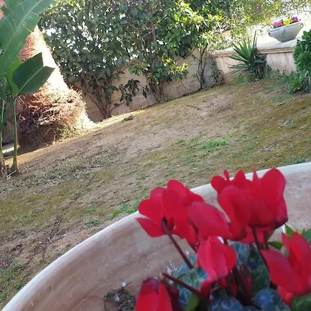 Dimora Sole Del Sud Ugento