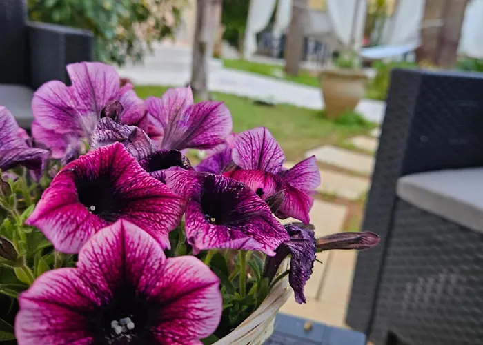 Dimora Sole Del Sud 住宿加早餐酒店 乌真托